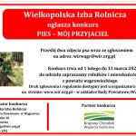 Przechwytywanie-w-trybie-pelnoekranowym-04.02.2022-140305