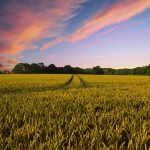 countryside-ge9142afdb_1920